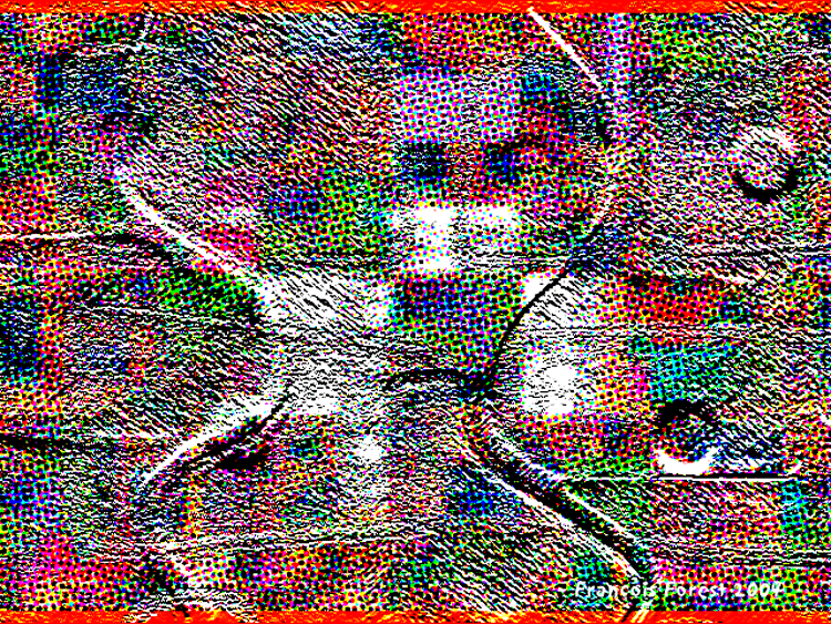 PAYSAGES HYBRIDES 2.gif